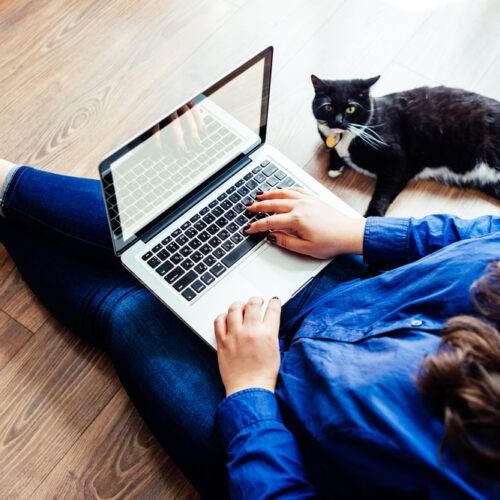 Plus Size Woman on Computer